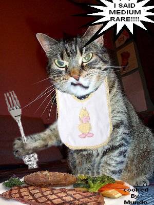 finicky cat food finicky cat food
