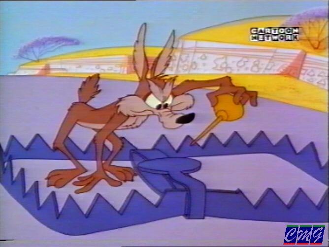 Road Runner and Wile E. Coyote Cartoon