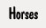 Horses