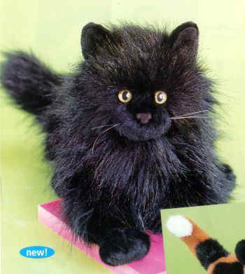 http://www.petcaretips.net/stuffed_black_cat.jpg