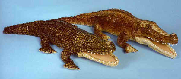 stuffed crocodiles