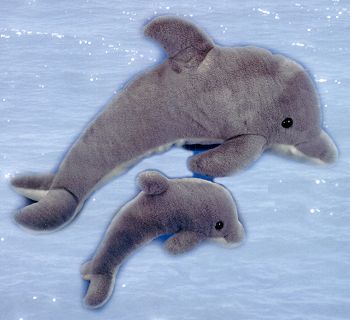 dolphin teddy